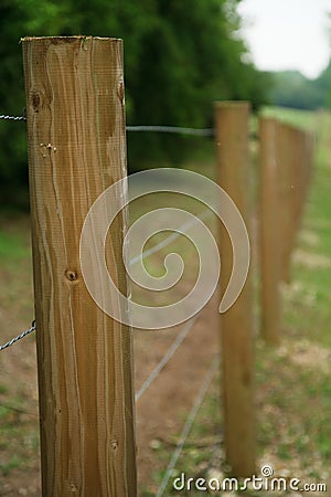 Long fence of wooden posts 2 Stock Photo