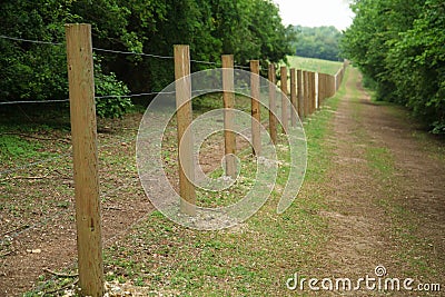 Long fence of wooden posts Stock Photo