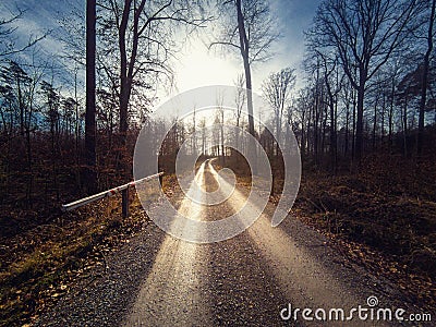 Long forest dirt path leading to the sun Stock Photo