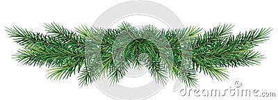 Long garland of Christmas tree branches . Vector illustration. Vector Illustration