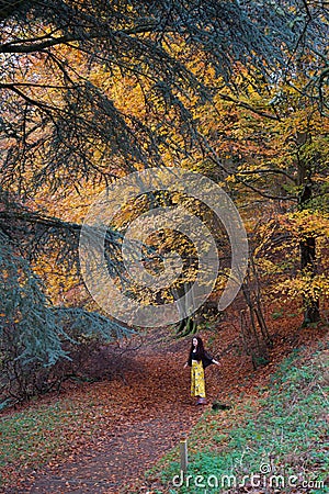 Lady in bright yellow trousers dancing in an autumnal autumn / fall forest; yellow, orange, red, green trees Stock Photo