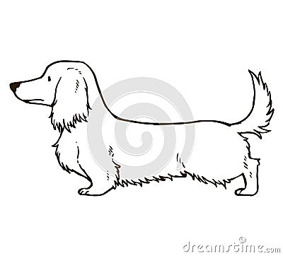 Long haired dachshund outlines only Vector Illustration