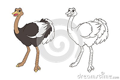long legged cute ostrich coloring book for kids. Vector isolated line art illustration, cartoon style Vector Illustration