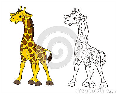 A long-necked spotted giraffe. Coloring page for children black and white. Vector illustration in cartoon style, isolated line art Vector Illustration