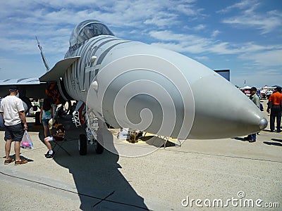 Long Nose F18 Hornet Editorial Stock Photo