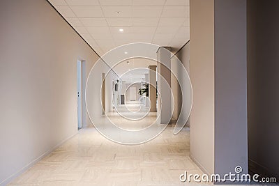 Long office hallway modern design, empty and clean interior Stock Photo