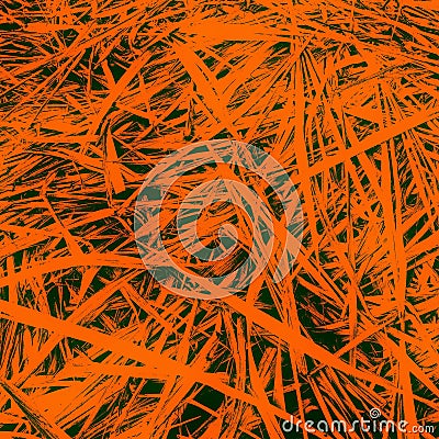 Long orange color leaf blades pattern isolated background Stock Photo