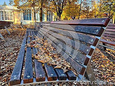 Long outdoor park benches with autumn leaves on it Stock Photo