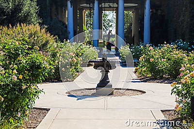 A long paved footpath with a fountain in the center with lush green trees along the path a pink and yellow roses Stock Photo