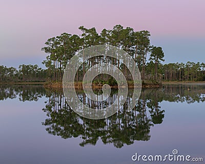 Long Pine Key Lake at dawn Stock Photo