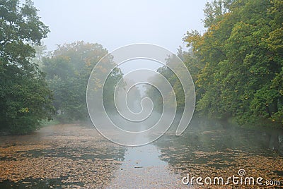 Long pond and forest park trees in fog Stock Photo