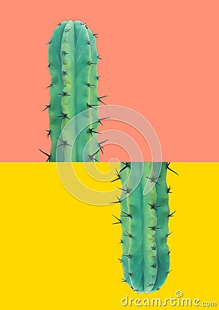Long prickly green cactus with thorns on duo tone pink yellow background. Creative poster banner in pop art style Stock Photo