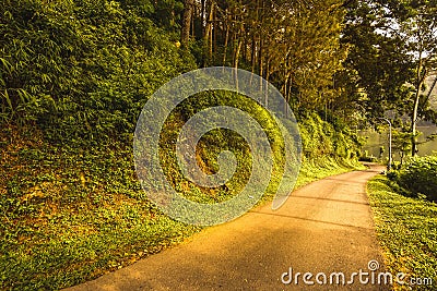 A long, quiet road on the edge of Lake Stock Photo