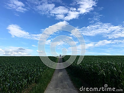 A long road in a landscape of German countryside in Baden-Wurrtemberg, with carriage Stock Photo