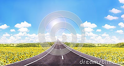 Long road to high puffy cloud cheerful sunny blue sky with sunflowers field Stock Photo