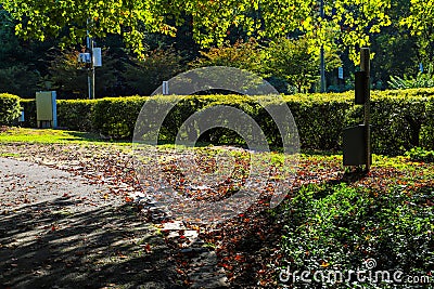 A long rough black footpath through the park covered with fallen autumn leaves surrounded by lush green trees, plants and grass Stock Photo