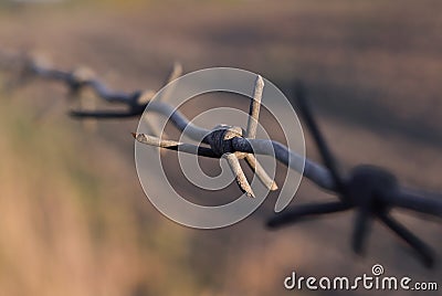 The long, rusty barbed wire with sharp thorns Stock Photo