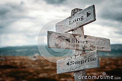 Long, short, surprise text on wooden rustic signpost outdoors in nature/mountain scenery. Short term, long term and stop loss conc Stock Photo