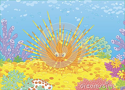 Funny sea urchin on a reef Vector Illustration