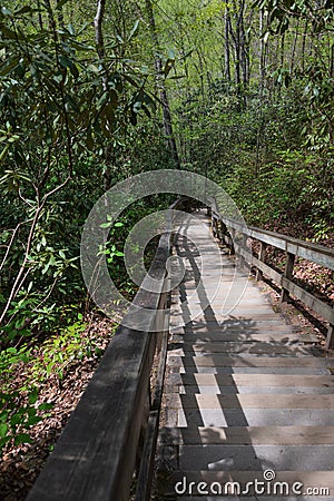 Long staircase to Mingo Falls Stock Photo