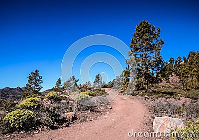 Long straight dirt desert road disappears into the horizon in Gran Canaria Spain Stock Photo
