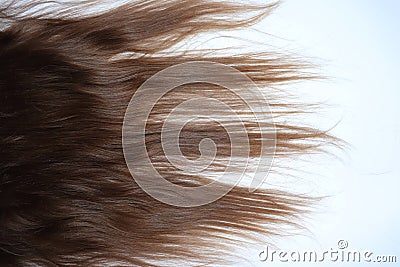 Long, wavy brown hair on a teenage girl Stock Photo