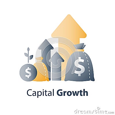 Financial value steady growth, long term investment strategy, asset allocation, revenue increase, mutual fund interest rate Vector Illustration