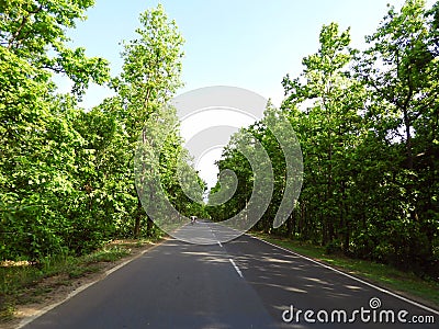 Long unending road surrounded by forest in India Editorial Stock Photo