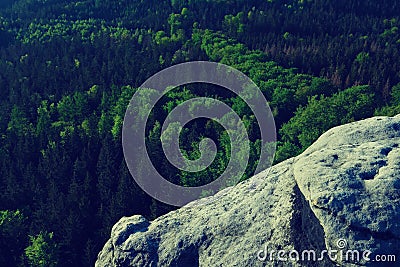 Long valley full of fresh green forests. The misty forest valley Stock Photo