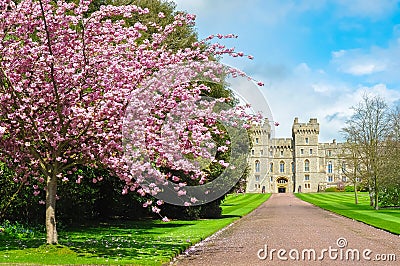 Long walk alley to Windsor castle in spring, London suburbs, UK Stock Photo