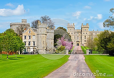Long walk alley to Windsor castle in spring, London suburbs, UK Stock Photo