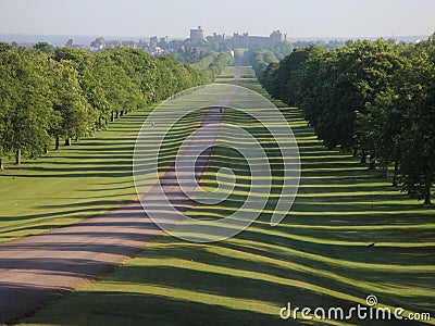 The Long Walk, Great Windsor Park, England. Stock Photo