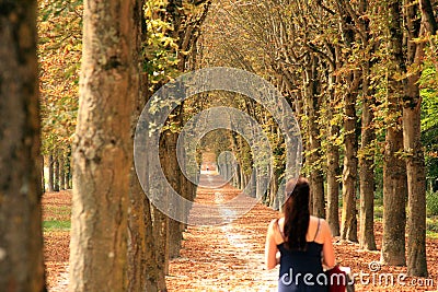 Long wooded path with a woman walking down it Stock Photo