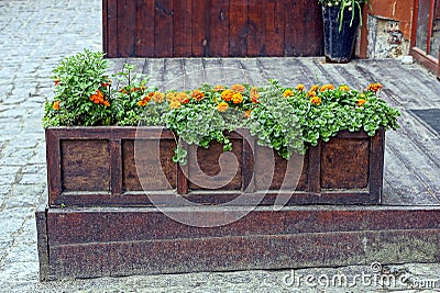 A long wooden box with flowers on the sidewalk near the house Stock Photo