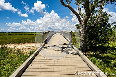 Long wooden path with a fence in the middle of green fields with trees in James Island County Park Stock Photo