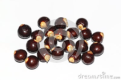 Longan fruits seeds on white background Stock Photo