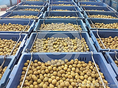 Longan in plastic basket To sell Stock Photo