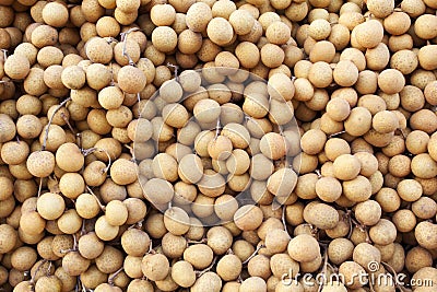 Longans (lum-yai) Stock Photo