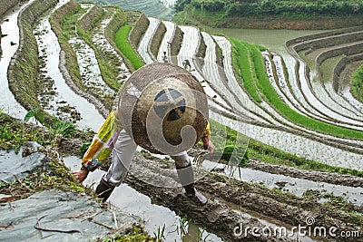 Longji rice terraces Stock Photo