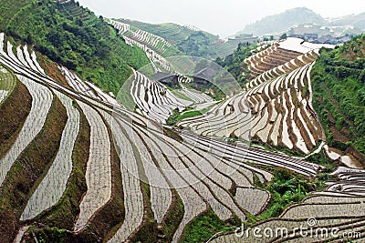 Longji rice terraces Stock Photo