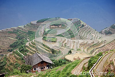 Longji rice terraces Stock Photo