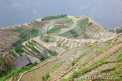 Longji rice terraces, Guangxi province Stock Photo