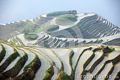 Longji rice terraces Stock Photo