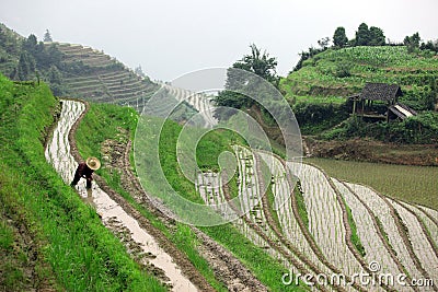 Longji rice terraces, Guangxi province, China Stock Photo