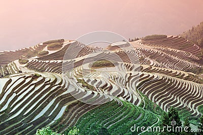 Longji rice terraces, Guangxi province, China Stock Photo