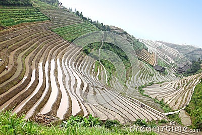 Longji rice terraces UNESCO site, China Stock Photo