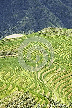 Longji Terraced Rice Fields Stock Photo