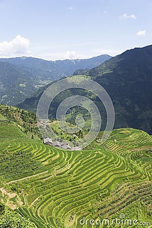 Longji Terraced Rice Fields Stock Photo