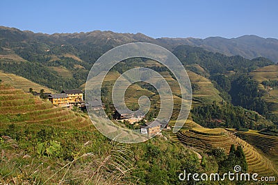 Longji Terraced Rice Fields Stock Photo