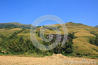 Longji Terraces Stock Photo